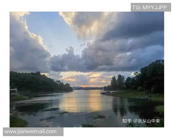 足球明星代言的卫生纸背后故事揭示了体育与日常生活的奇妙结合 足球明星代言的卫生纸背后故事揭示了体育与日常生活的奇妙结合