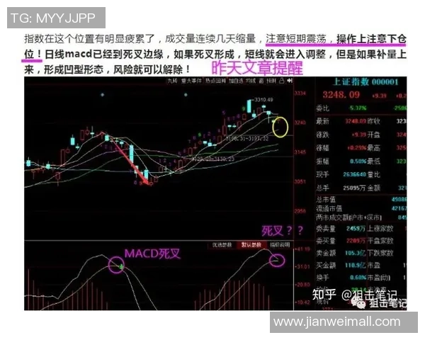 武汉足球队与深圳足球队赛后复盘分析比赛节奏与战术表现的深度解读