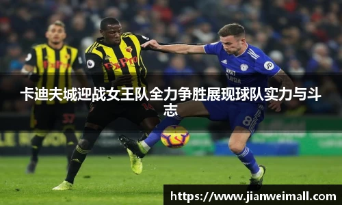 彩神彩票vIII