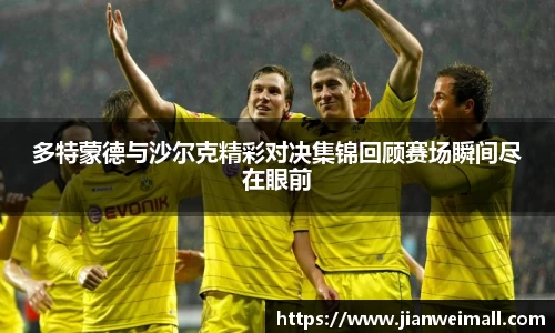 多特蒙德与沙尔克精彩对决集锦回顾赛场瞬间尽在眼前
