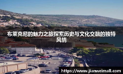 彩神VI首页